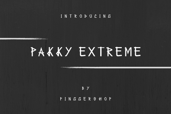 Pakky Extreme: A Stylish Sans Serif Font for Web Design